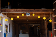 1_TCC_Rec_Details-3860