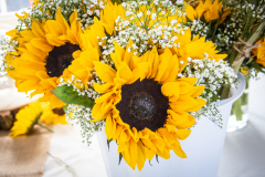 1_TCC_Rec_Details-3904