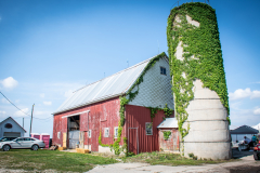 1_TCC_Rec_Details-3910