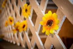 1_TCC_Rec_Details-3933