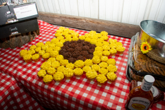 1_TCC_Rec_Details-4193