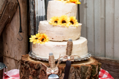 1_TCC_Rec_Details-4558