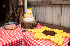 1_TCC_Rec_Details-4564