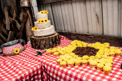 1_TCC_Rec_Details-4566