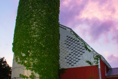 1_TCC_Rec_Details-4994