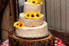1_TCC_Rec_Details-5091