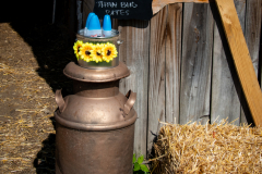 TCC_Rec_Details-3857