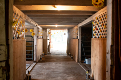 TCC_Rec_Details-3889